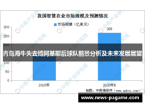 青岛海牛失去博阿基耶后球队前景分析及未来发展展望 青岛海牛失去博阿基耶后球队前景分析及未来发展展望